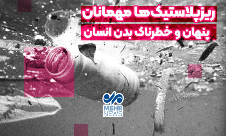 میکروپلاستیک ها مهمانان پنهان و خطرناک بدن انسان هستند
