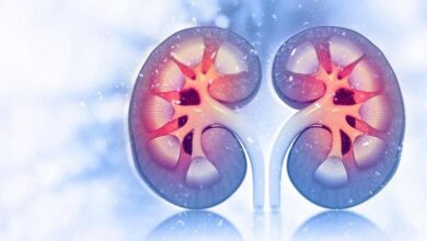 سلامت مغز با عملکرد کلیه مرتبط است - خبرگزاری مهر ایران و جهان