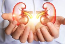 رژیم غذایی هوشمند؛ کلید کنترل سنگ کلیه