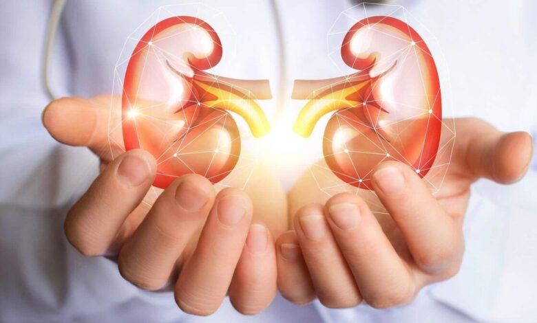 رژیم غذایی هوشمند؛ کلید کنترل سنگ کلیه