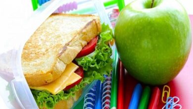 بهترین تغذیه برای افزایش تمرکز و تقویت حافظه چیست؟