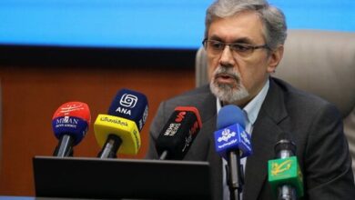 جعفریان: هوش مصنوعی می تواند به کارایی صنعت دارو کمک کند - خبرگزاری مهر ایران و جهان