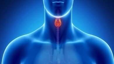 مراقب خرابی «پدال گاز» بدنه باشید - خبرگزاری مهر ایران و جهان