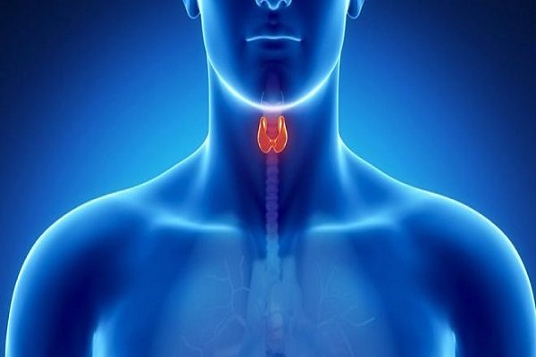 مراقب خرابی «پدال گاز» بدنه باشید - خبرگزاری مهر ایران و جهان