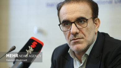 باید برای ویزیت رایگان مادران پس از زایمان برنامه ریزی کرد - خبرگزاری مهر ایران و جهان