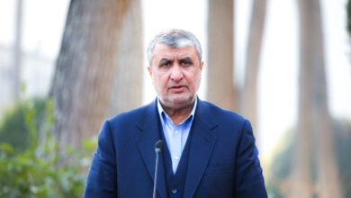 تولید 72 نوع رادیودارو در کشور/صنعت هسته ای همچنان پیشرو است