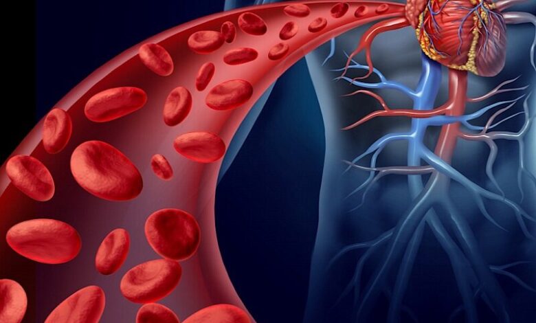 کدام غذاها برای بهبود سلامت رگ های خونی مفید هستند؟