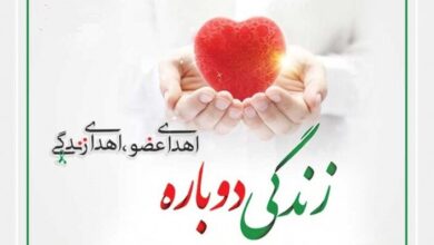 نشان اهدای عضو در گواهینامه رانندگی درج می شود