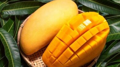 میوه ای برای حفظ وزن و کنترل قند خون - خبرگزاری مهر ایران و جهان