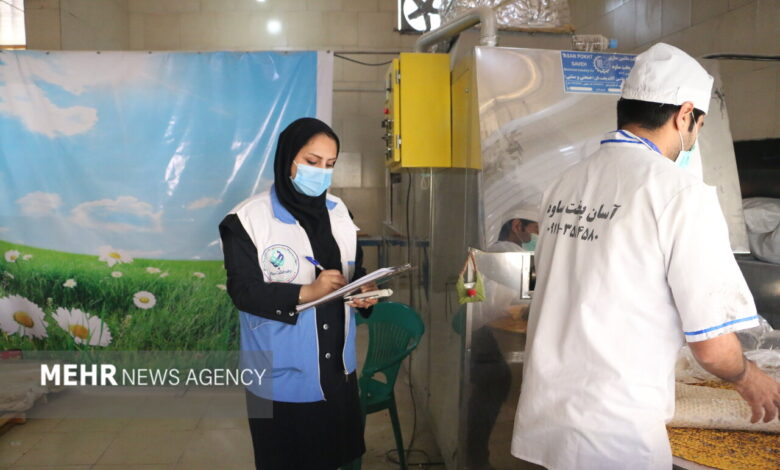 موانع بر سر راه کارشناسان بهداشت محیط در برخورد با تخلفات - خبرگزاری مهر ایران و جهان