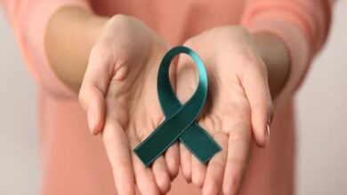 خبرگزاری مهر اخبار ایران و جهان خبرگزاری مهر