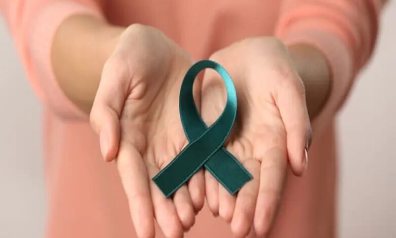 خبرگزاری مهر اخبار ایران و جهان خبرگزاری مهر