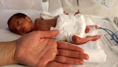 خبرگزاری مهر اخبار ایران و جهان خبرگزاری مهر