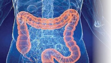 چگونه التهاب و کمبود آهن رانش پیری در روده را تسریع می‌کند؟