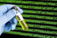 طراحی پوست مصنوعی دارای قابلیت تغییر رنگ و بافت با الهام از اختاپوس