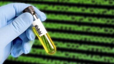 طراحی پوست مصنوعی دارای قابلیت تغییر رنگ و بافت با الهام از اختاپوس