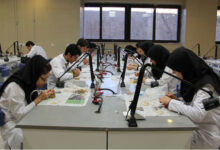 تحول آموزش بالینی و مهارت‌محوری، مسیر ارتقای نظام آموزش پزشکی کشور است