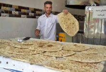 مصرف نان و بیسکویت سبوس دار از اضافه وزن و چاقی جلوگیری می کند