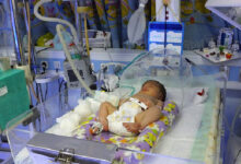 کلید پیشگیری از بیماری های متابولیک - خبرگزاری مهر ایران و جهان