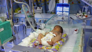 کلید پیشگیری از بیماری های متابولیک - خبرگزاری مهر ایران و جهان