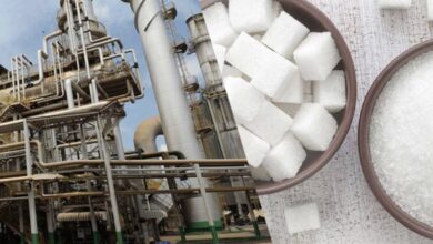 واکنش سازمان غذا و دارو به فرآیند تولید شکر - خبرگزاری مهر ایران و جهان