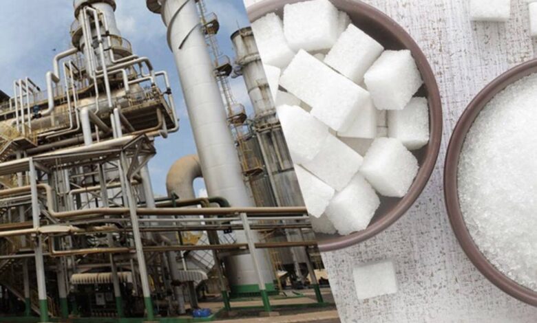 واکنش سازمان غذا و دارو به فرآیند تولید شکر - خبرگزاری مهر ایران و جهان