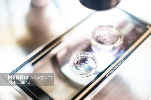 انجماد جنین چیست و برای چه کسانی توصیه می شود؟