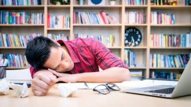 آیا چرت ظهر برای سلامت مغز مفید است؟ - خبرگزاری مهر اخبار ایران و جهان