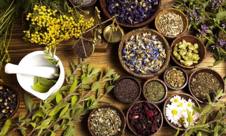 مصرف خودسرانه فرآورده های گیاهی خطرناک است - خبرگزاری مهر ایران و جهان