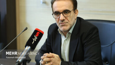 رئیس کل نظام پزشکی: شایعه دستگیری پزشکان صحت ندارد - خبرگزاری مهر ایران و جهان