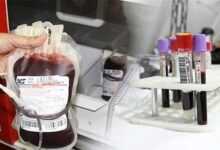 استفاده از ظرفیت جامعه خیریه برای بهبود زیرساخت های انتقال خون - خبرگزاری مهر ایران و جهان