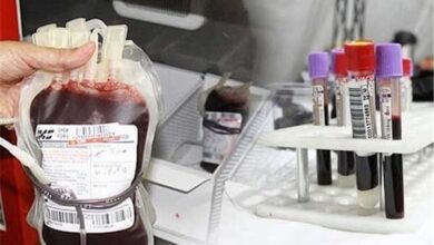 استفاده از ظرفیت جامعه خیریه برای بهبود زیرساخت های انتقال خون - خبرگزاری مهر ایران و جهان