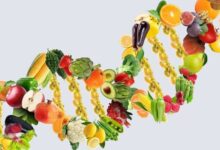 انتخاب های غذایی روزانه؛ عامل نادیده گرفته شده در مبارزه با سرطان