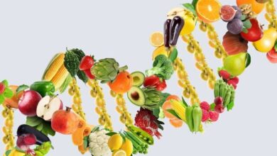 انتخاب های غذایی روزانه؛ عامل نادیده گرفته شده در مبارزه با سرطان