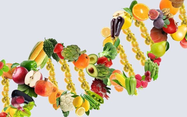 انتخاب های غذایی روزانه؛ عامل نادیده گرفته شده در مبارزه با سرطان