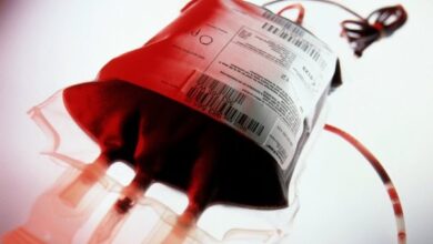 محصولی با عمر کوتاه و فواید بسیار - خبرگزاری مهر ایران و جهان