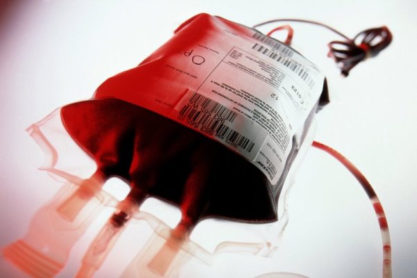 محصولی با عمر کوتاه و فواید بسیار - خبرگزاری مهر ایران و جهان