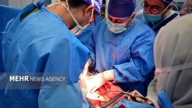 چه کسانی بیشتر در معرض خطر تومورهای مغزی هستند - خبرگزاری مهر | اخبار ایران و جهان