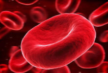 فرآورده ای با عمرکم و فواید زیاد