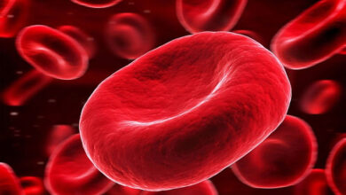 فرآورده ای با عمرکم و فواید زیاد