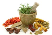 شبکه ملی طب ایرانی با رویکرد فناورانه شکل می‌گیرد