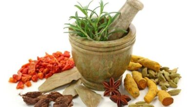 شبکه ملی طب ایرانی با رویکرد فناورانه شکل می‌گیرد