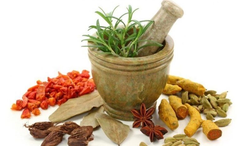 شبکه ملی طب ایرانی با رویکرد فناورانه شکل می‌گیرد