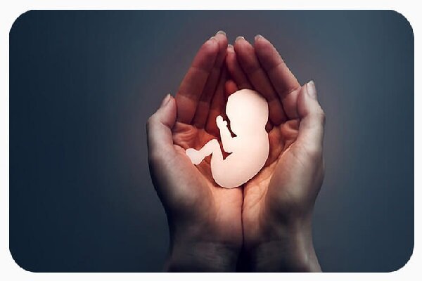 راه اندازی سامانه گزارش های مردمی درباره سقط جنین غیرقانونی - خبرگزاری مهر ایران و جهان