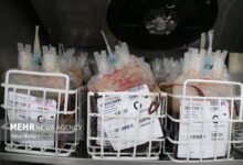 اهدای خون در ماه مبارک رمضان نباید منحصر به شب های قدر باشد - خبرگزاری مهر ایران و جهان