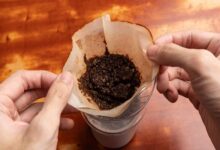 خط قرمز تغذیه در دوران بارداری