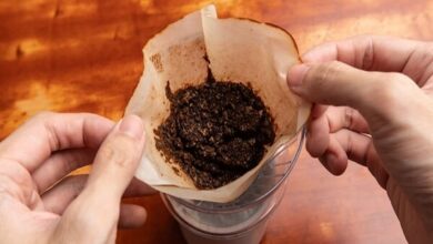 خط قرمز تغذیه در دوران بارداری