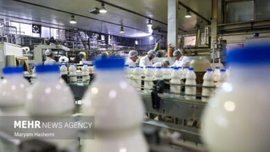 ضرورت ایجاد شبکه حلال یکپارچه در کشور - خبرگزاری مهر ایران و جهان