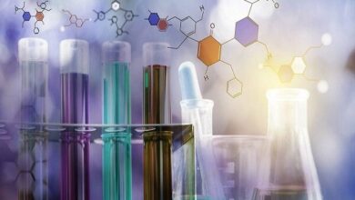 جندی شاپور اهواز در صدر پذیرش نمونه های آزمایشگاهی در کشور - خبرگزاری مهر ایران و جهان