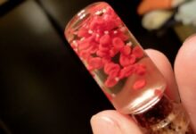 هر اهدای خون جان چند بیمار را نجات می دهد - خبرگزاری مهر ایران و جهان